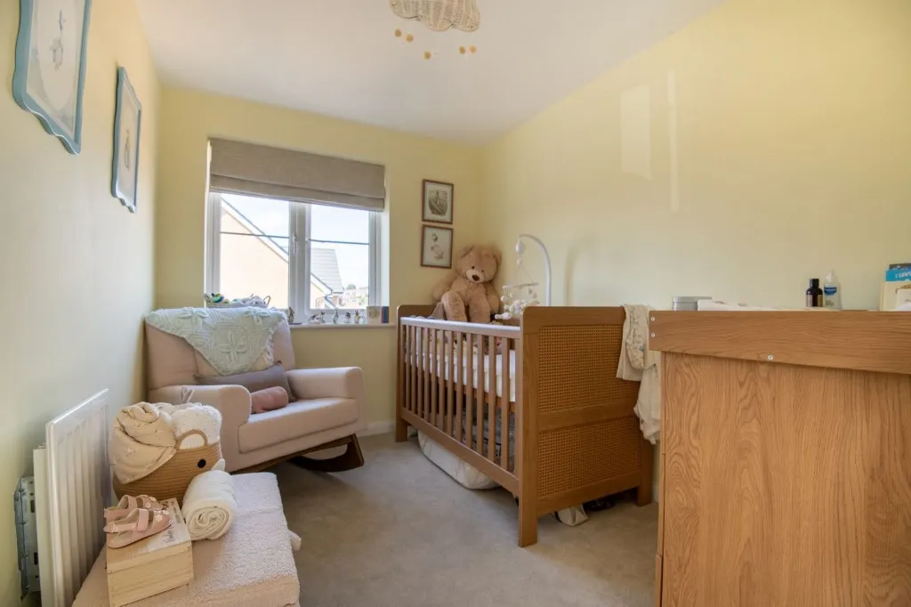 Cydonia Way, Wellingborough, NN8, photo 18