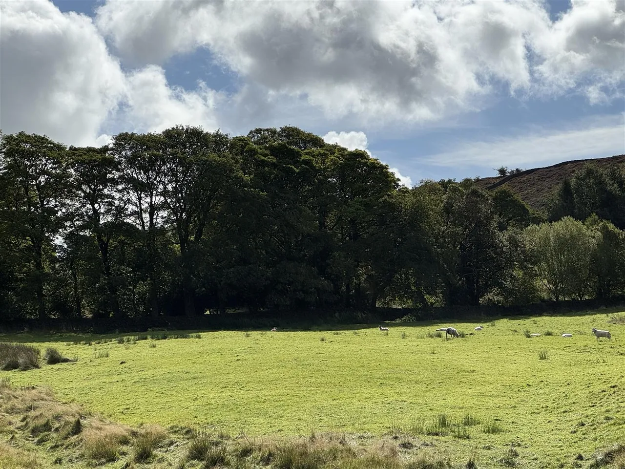 Moorland Gardens, Birch Vale, SK22, photo 11