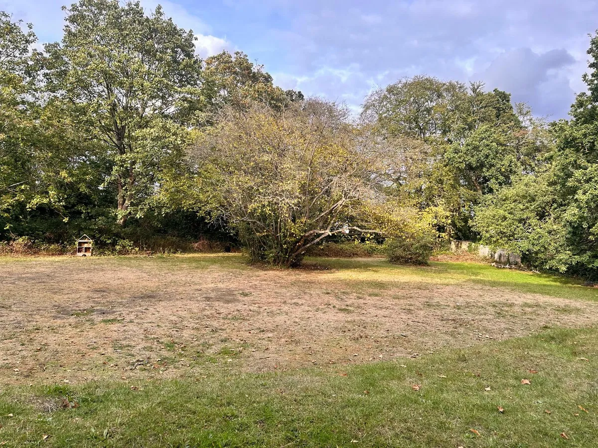 London Lane, Bromley, BR1, photo 15