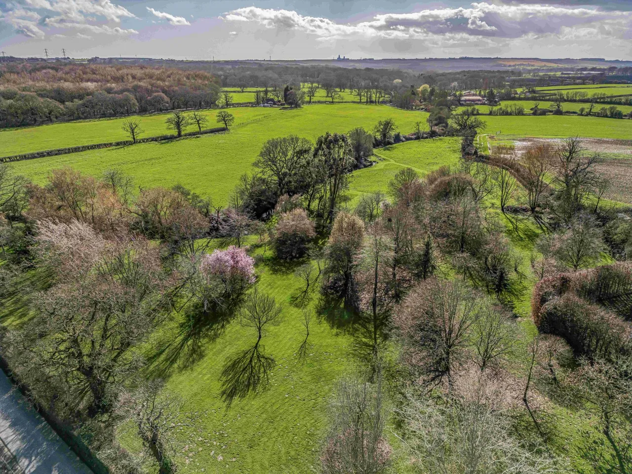 Denmead, Hampshire, photo 44