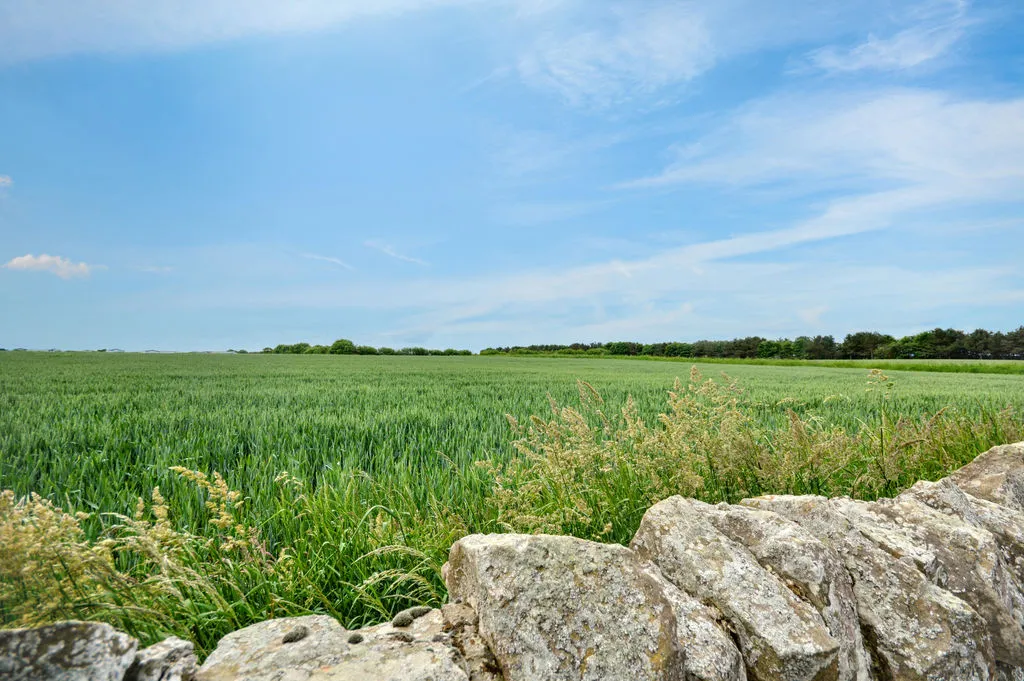 Seahouses NE68 7BB, NE68, photo 26