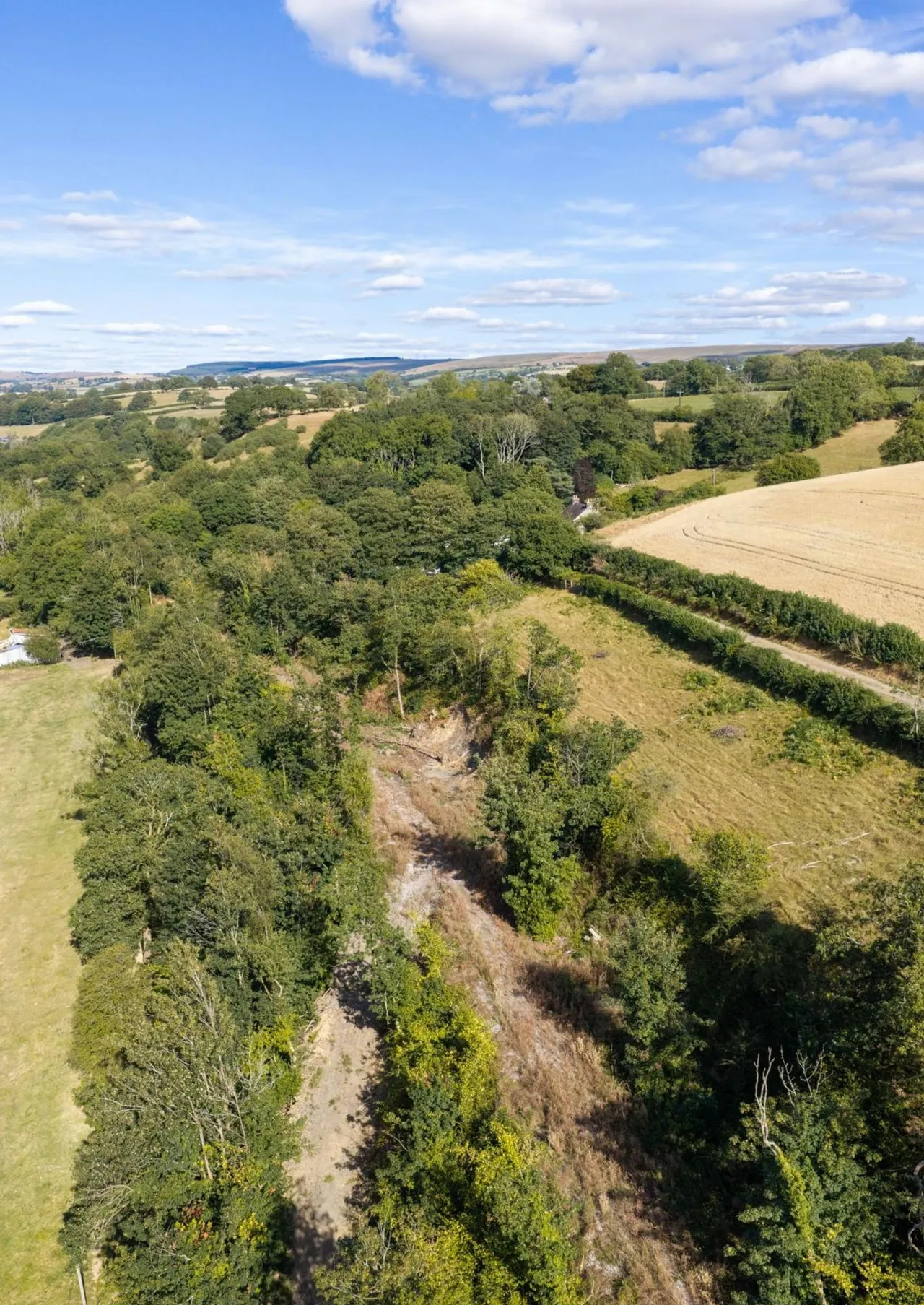 Pantyfen Isaf, Llanfihangel-ar-arth, SA39, photo 70