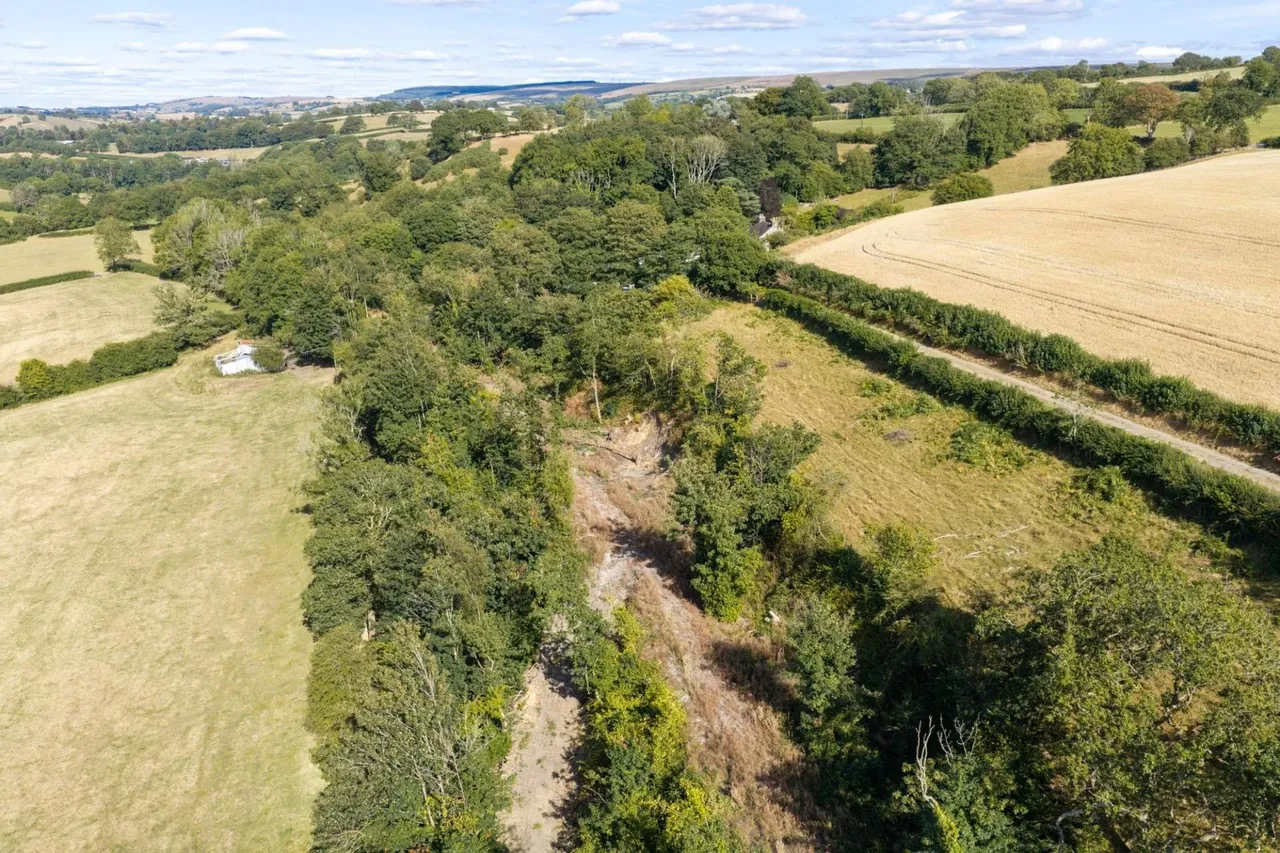 Pantyfen Isaf, Llanfihangel-ar-arth, SA39, photo 73