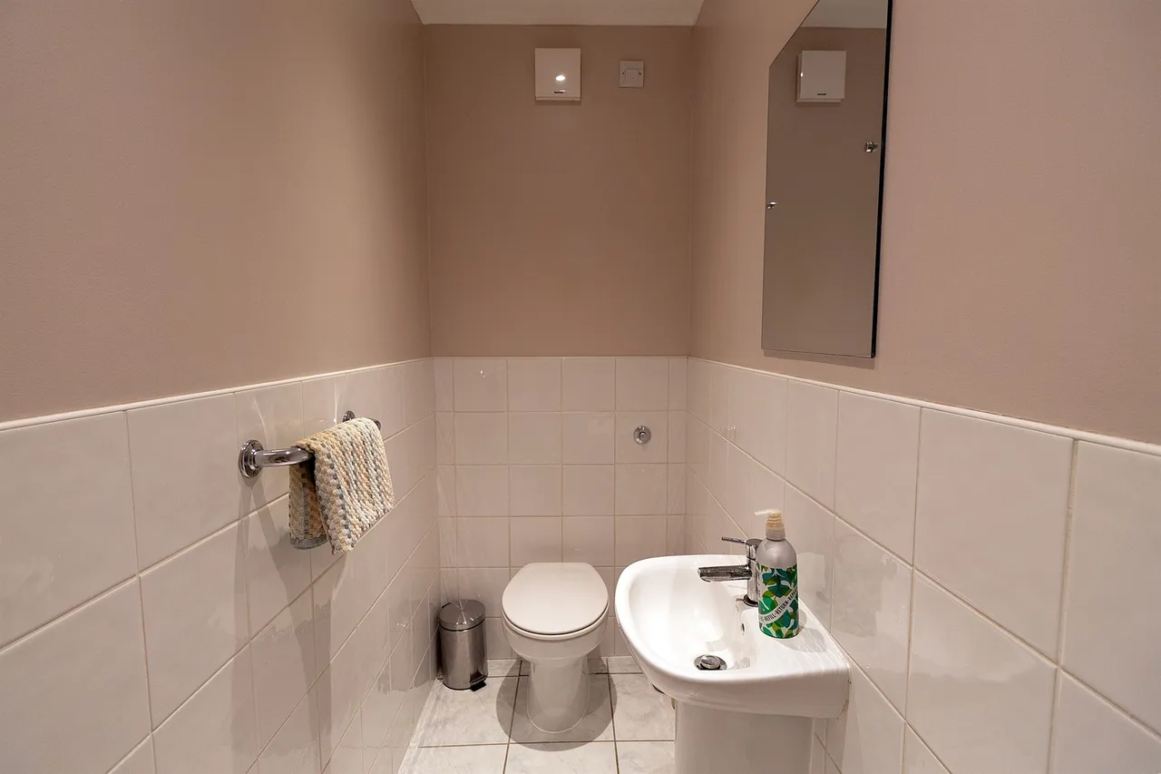 Temple Grove, Enfield, photo 7