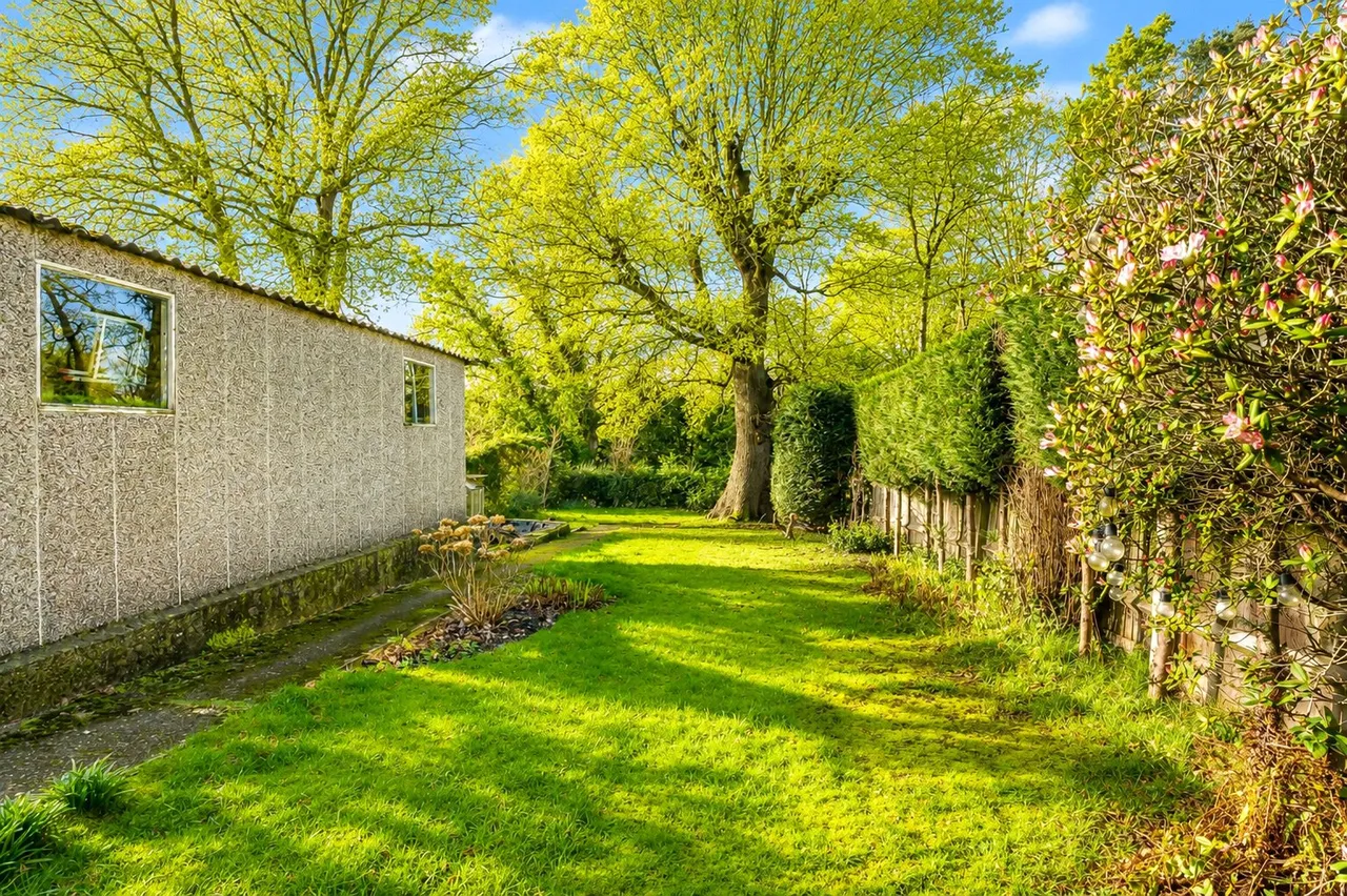 Thorn Road, Boundstone, GU10, photo 4