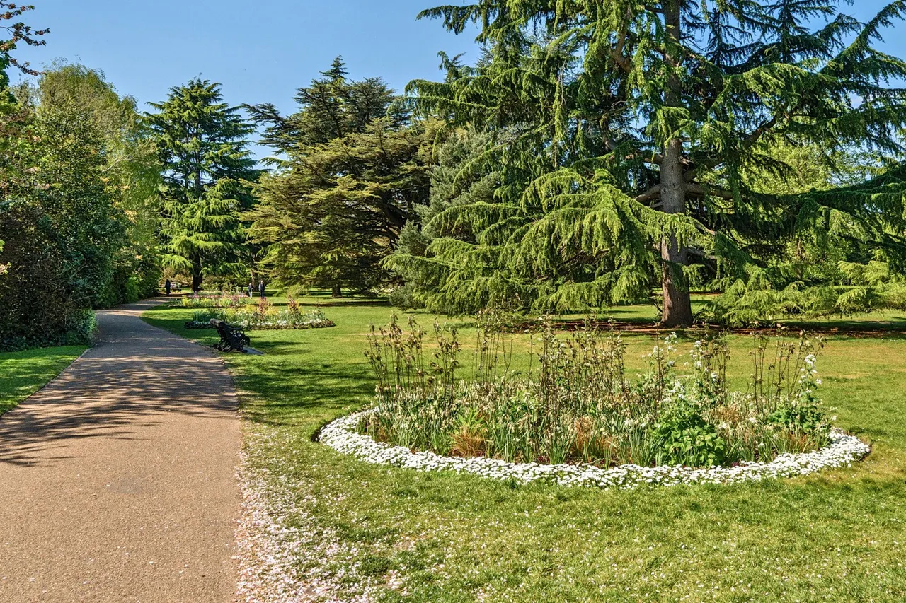 Parkside, London, SE3, photo 15