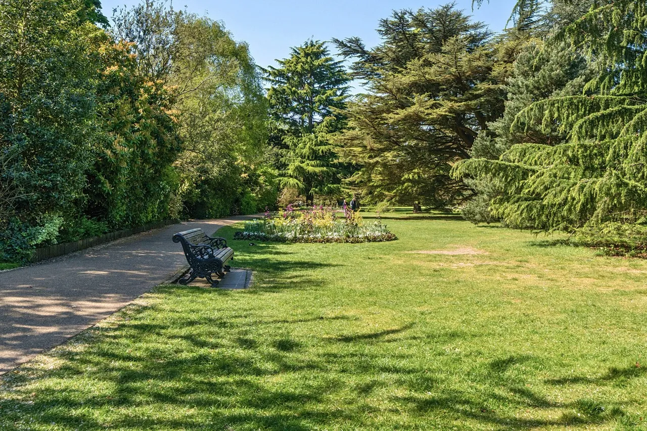 Parkside, London, SE3, photo 16