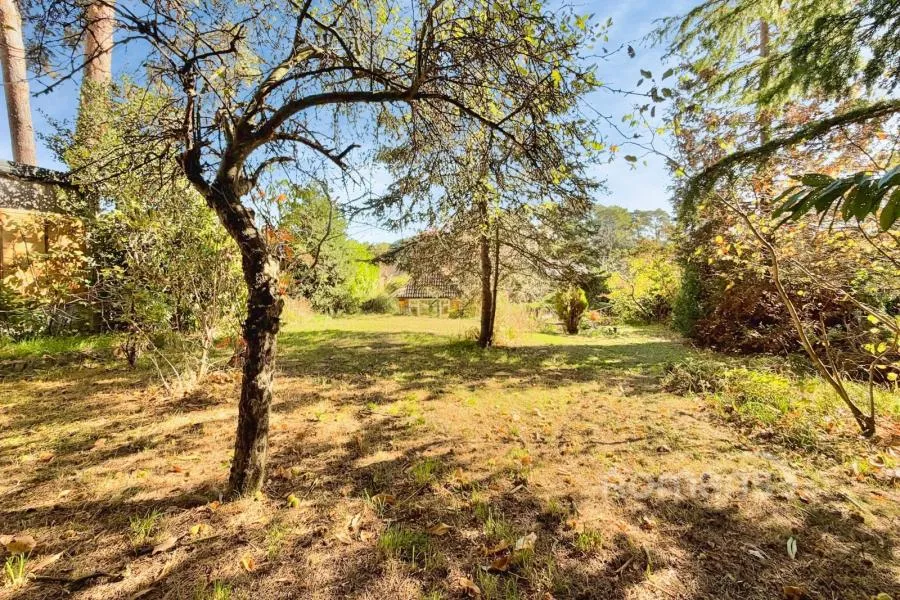 Broom Acres, Sandhurst, GU47, photo 14