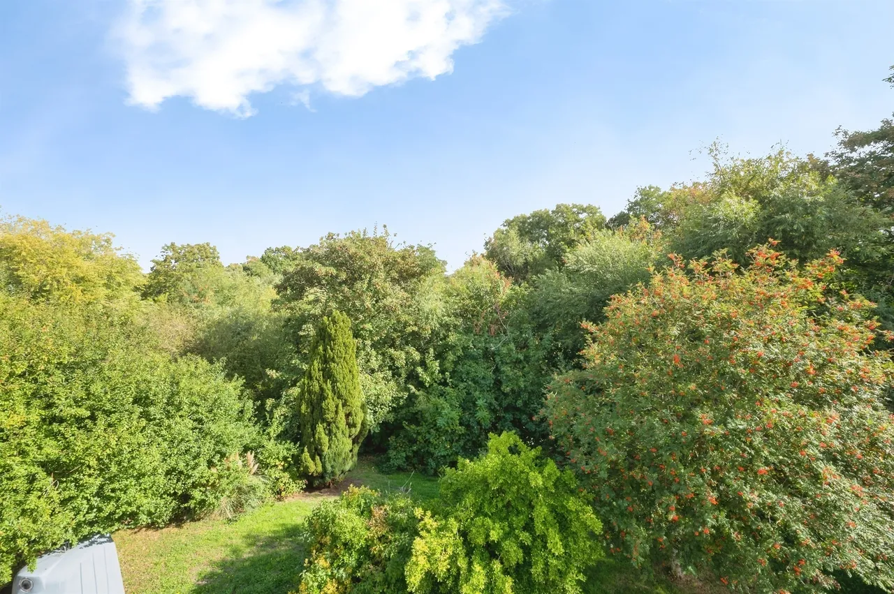 Brook Valley, Southampton, SO16, photo 18