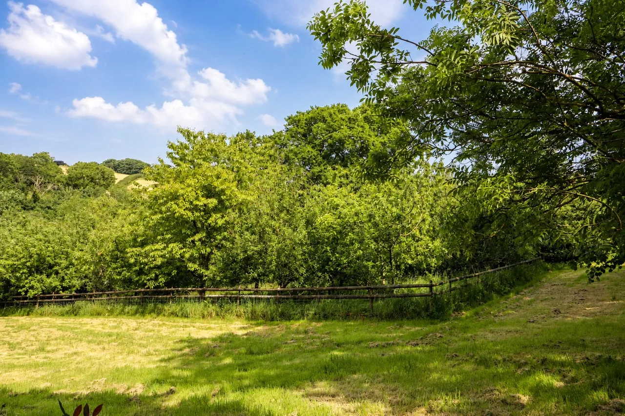 Parkham, Bideford, EX39, photo 33