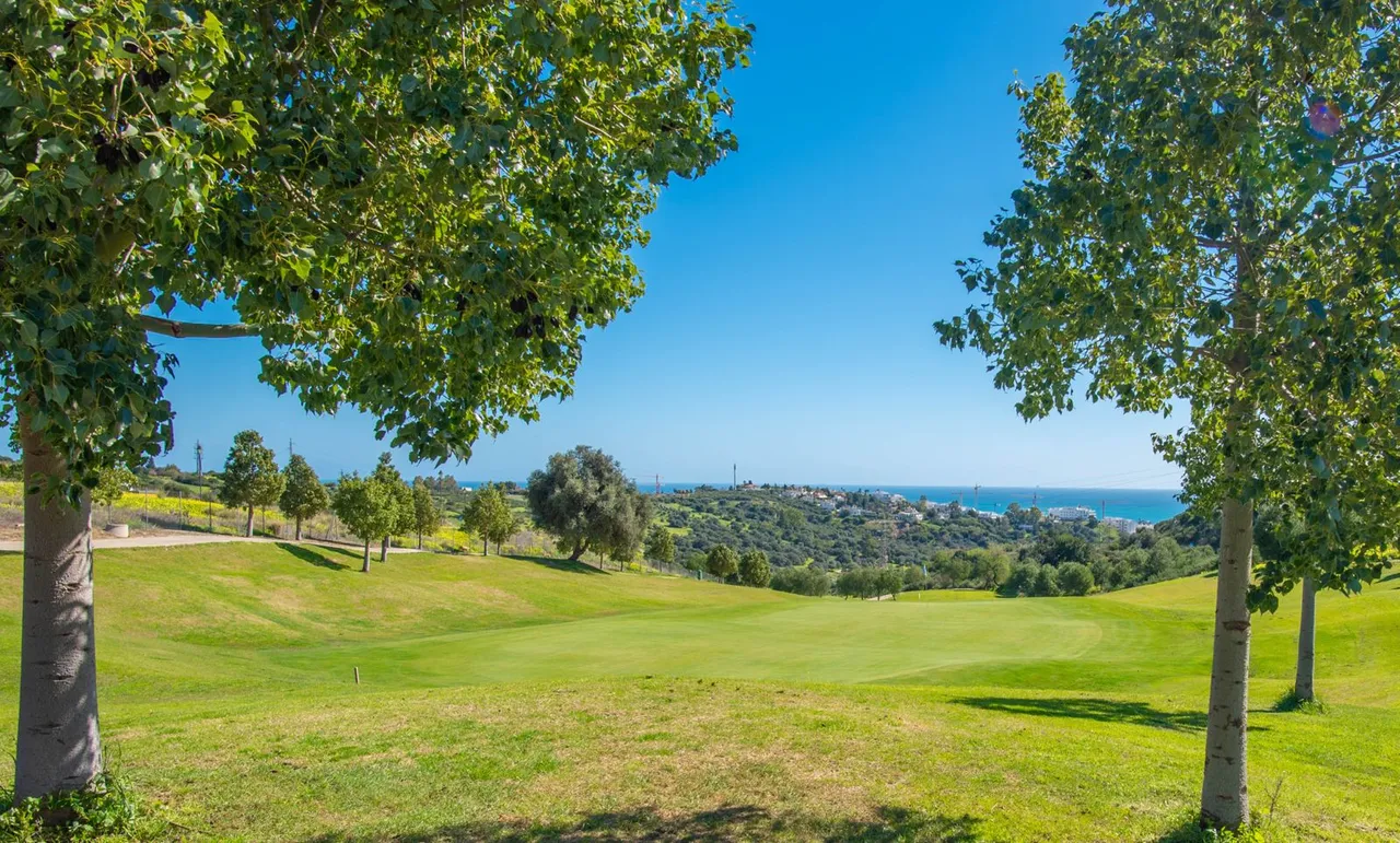 Estepona West, Estepona, GU21, photo 7