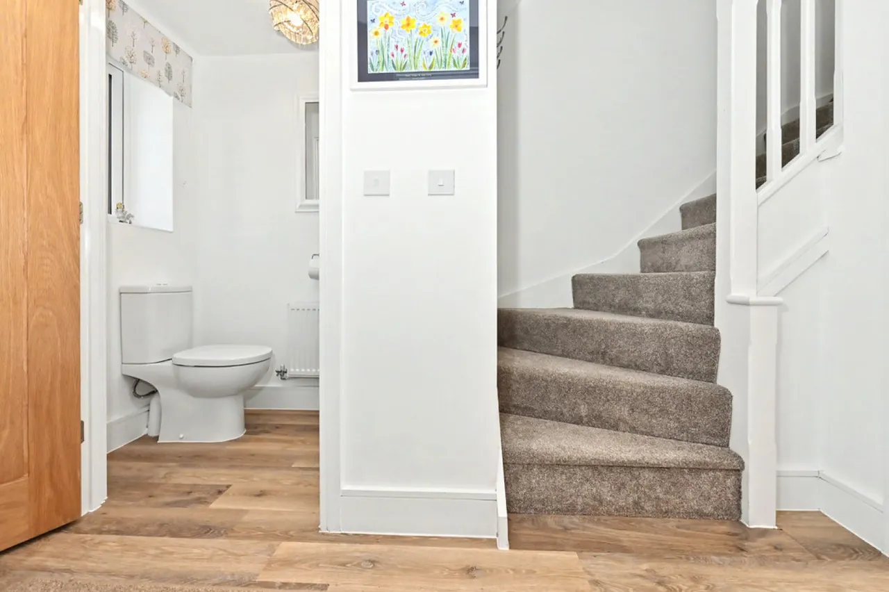 Passion Flower Grove, Burslem, ST6, photo 7