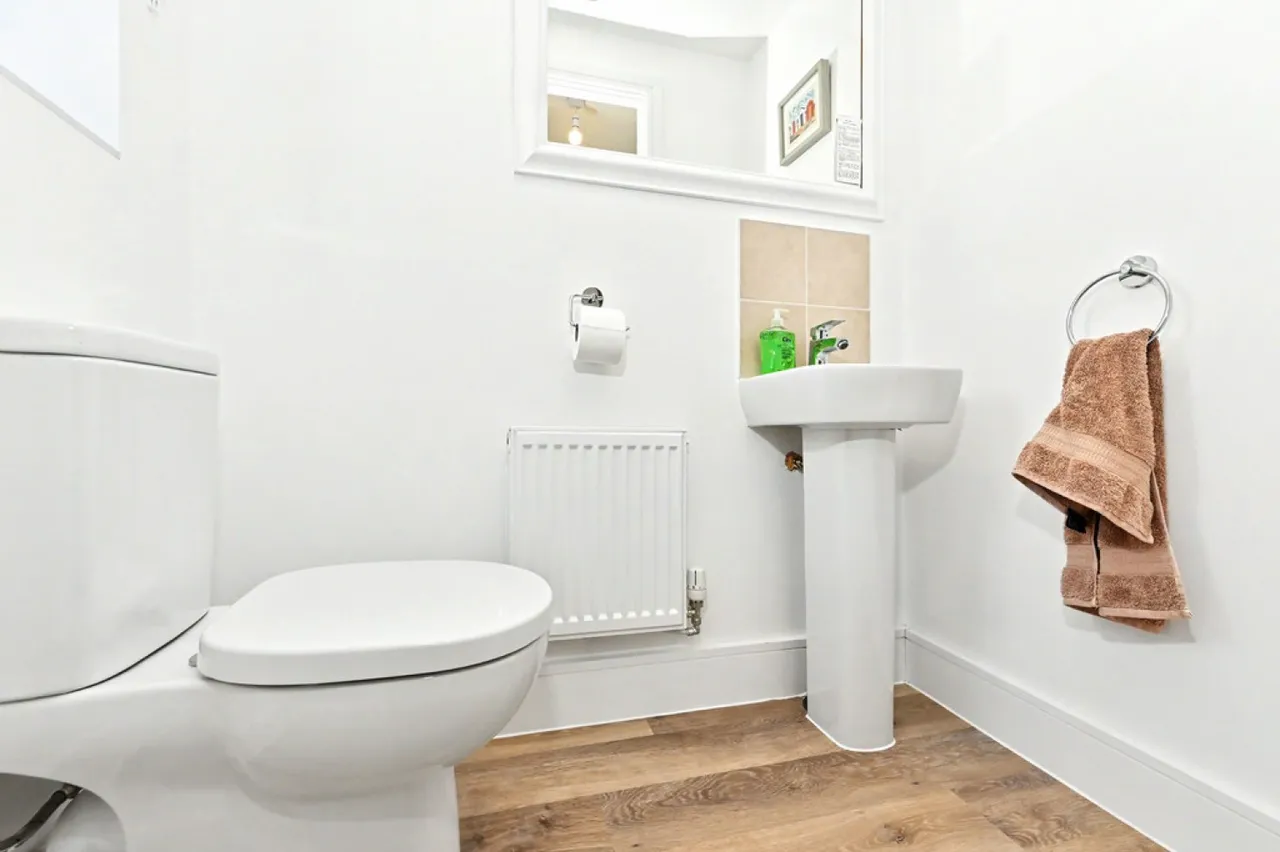 Passion Flower Grove, Burslem, ST6, photo 10