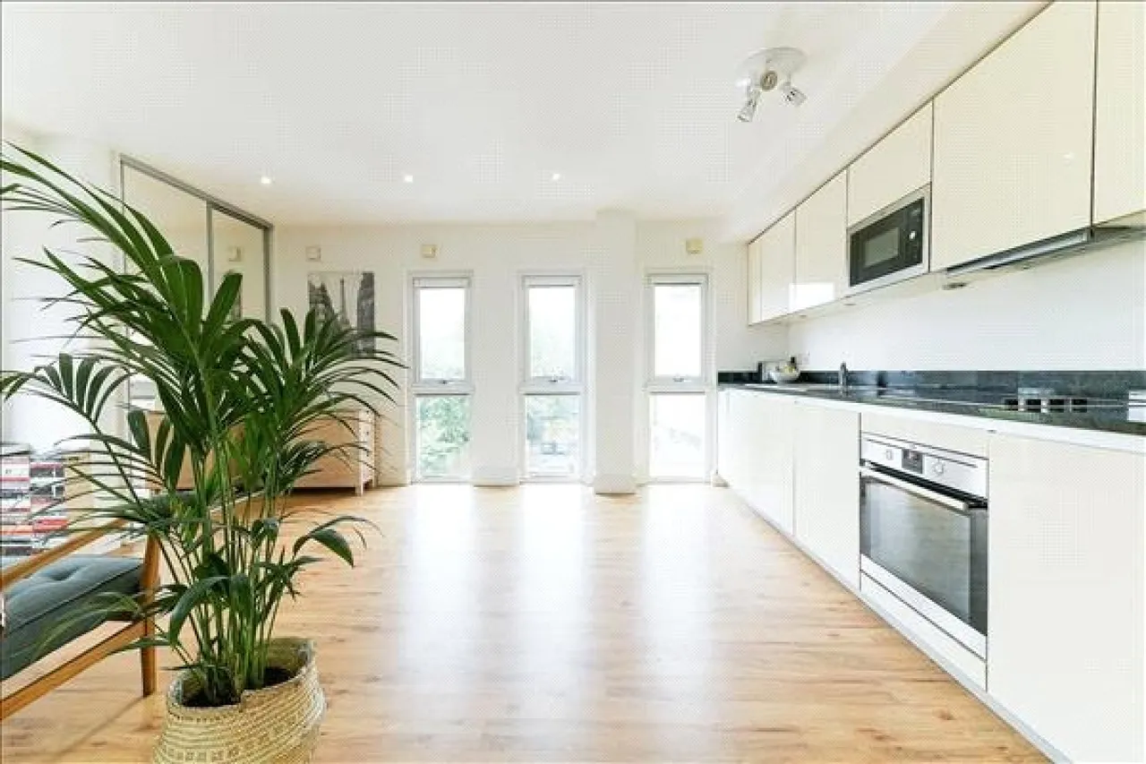 Ibex House, Wimbledon Park, photo 4