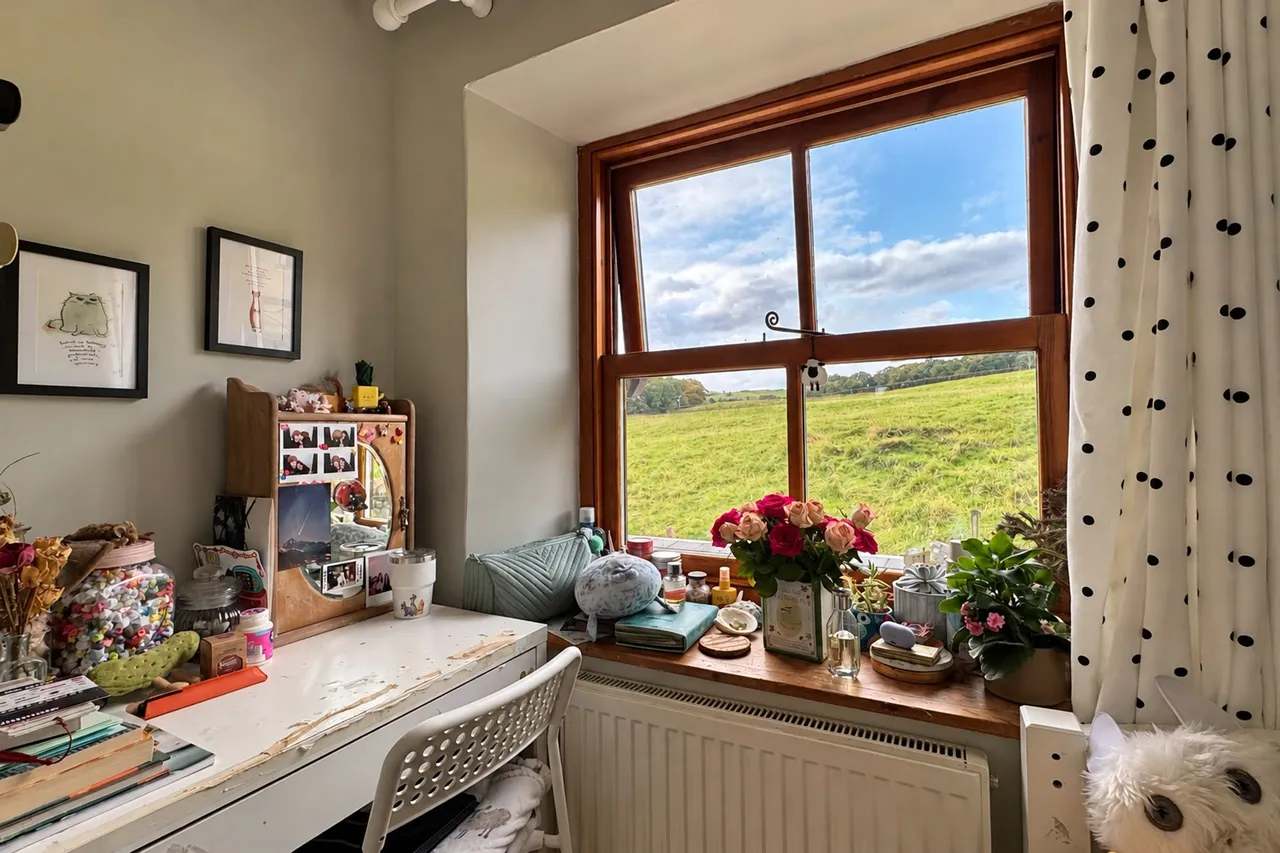 Clough Lane, High Peak, photo 17