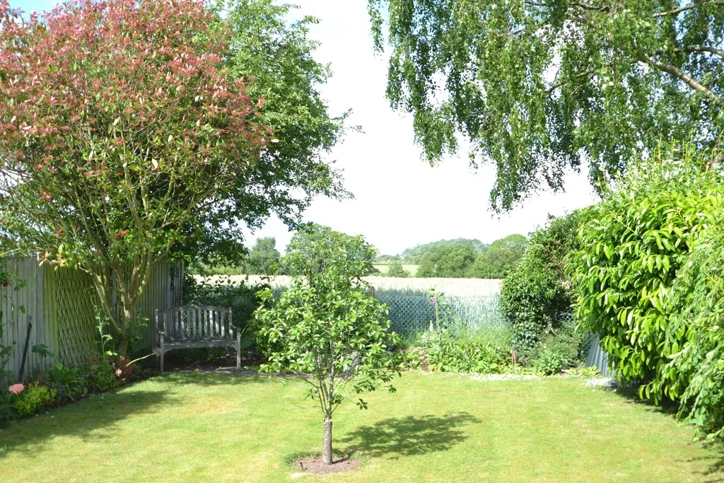 Nelson Way, Muxton, photo 21