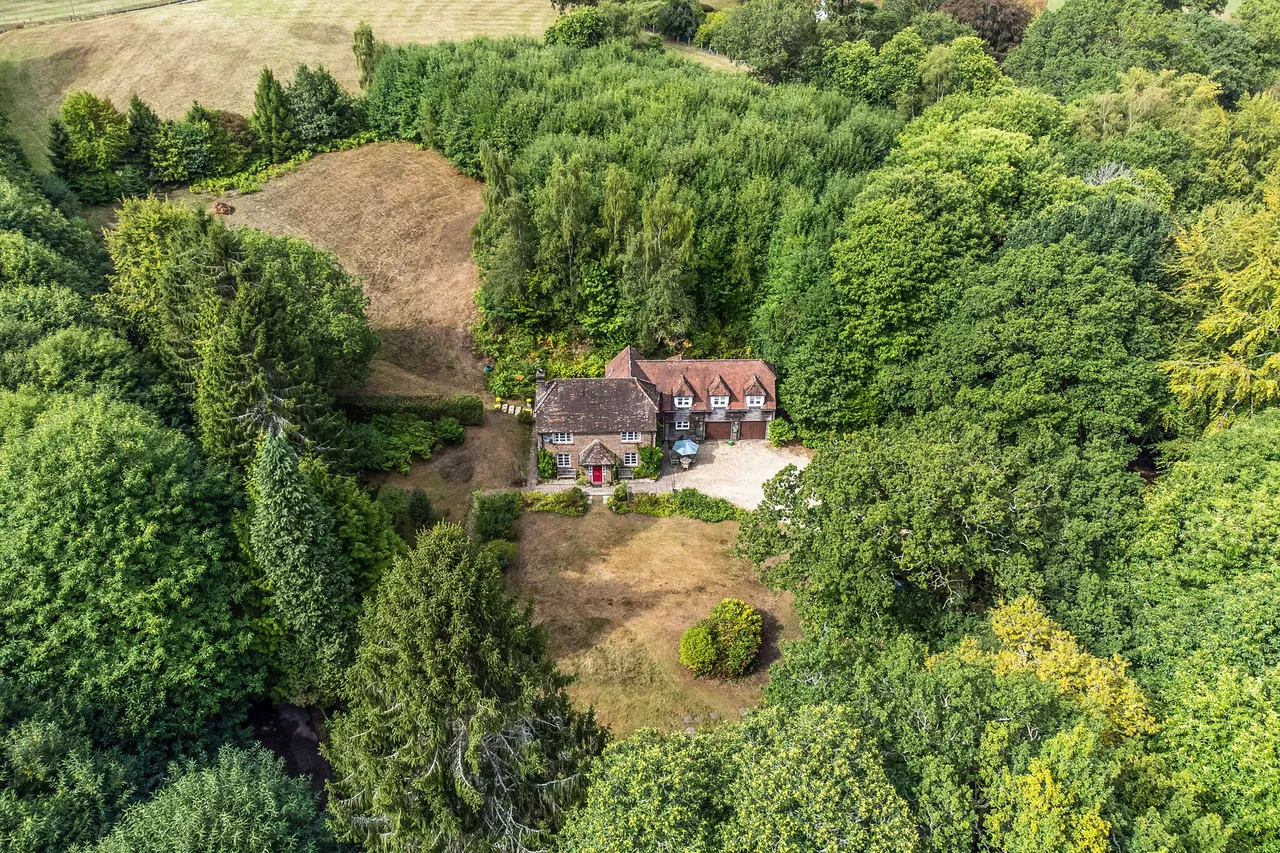 Borden Wood, Nr Milland, GU30, photo 2