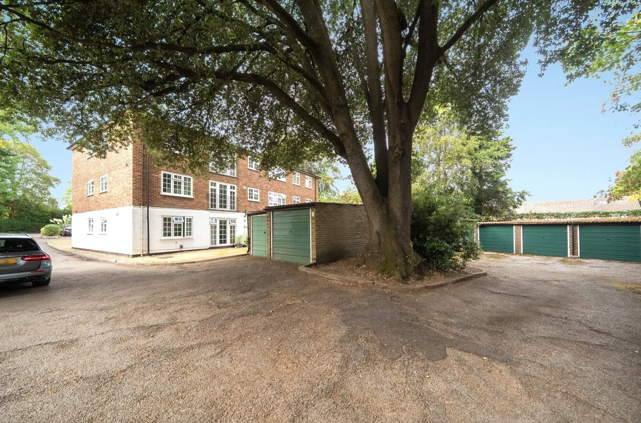 Lower Edgeborough Road, Guildford, GU1, photo 13