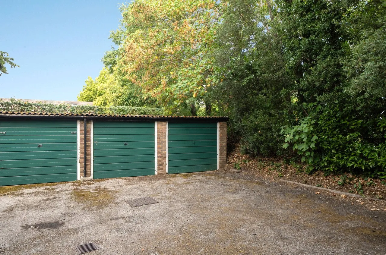 Lower Edgeborough Road, Guildford, GU1, photo 16