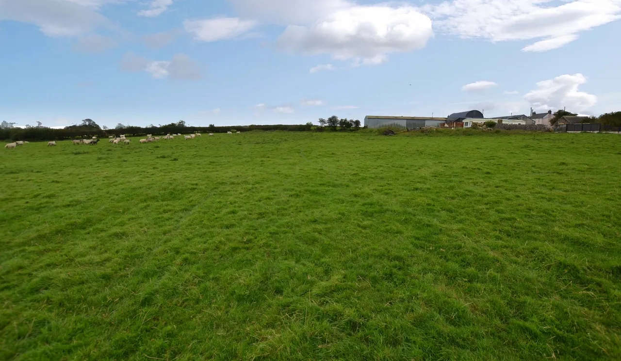 Blaenwaun, Whitland, SA34, photo 20