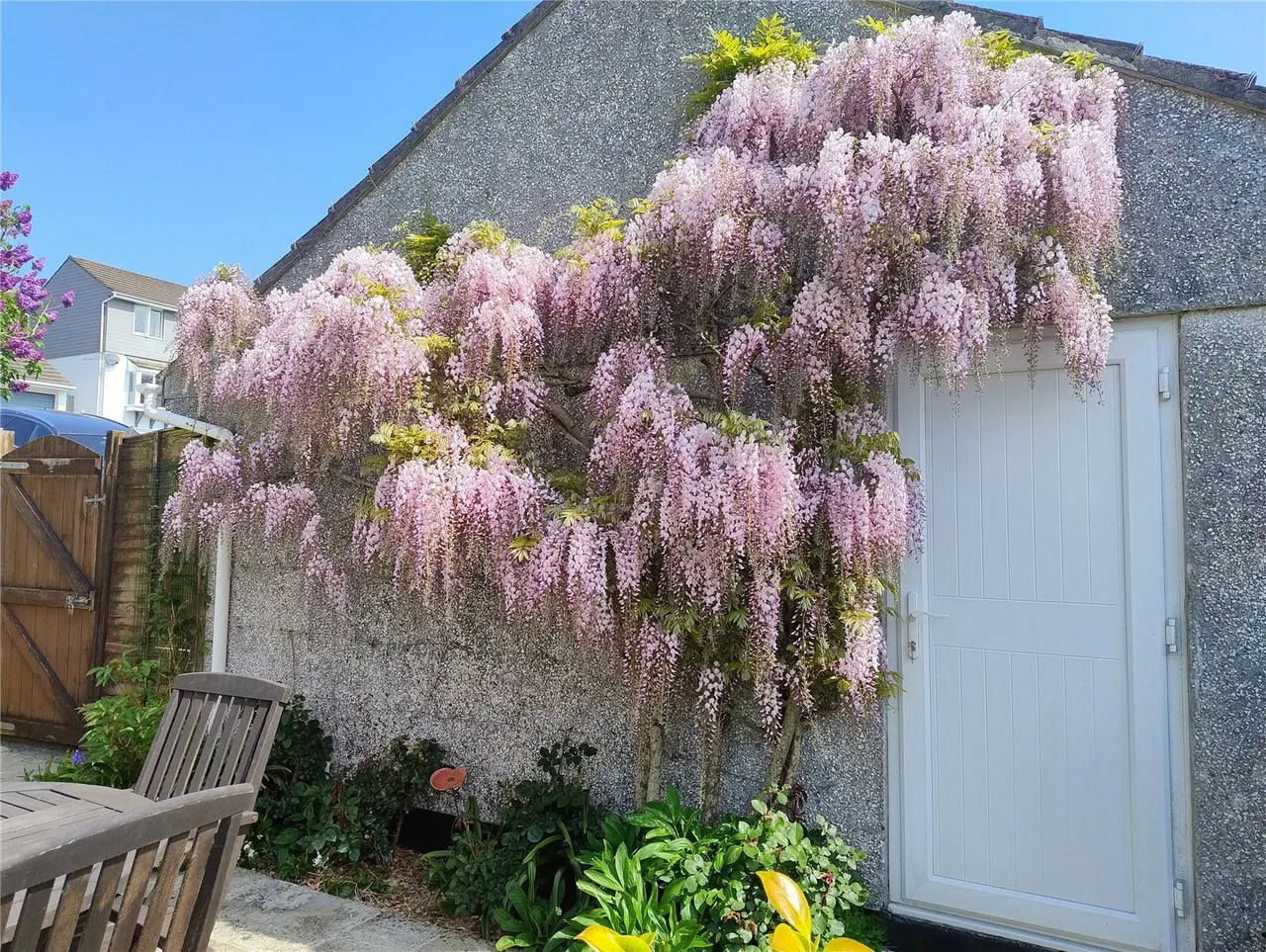 Gwel An Nans, Truro, TR2, photo 21