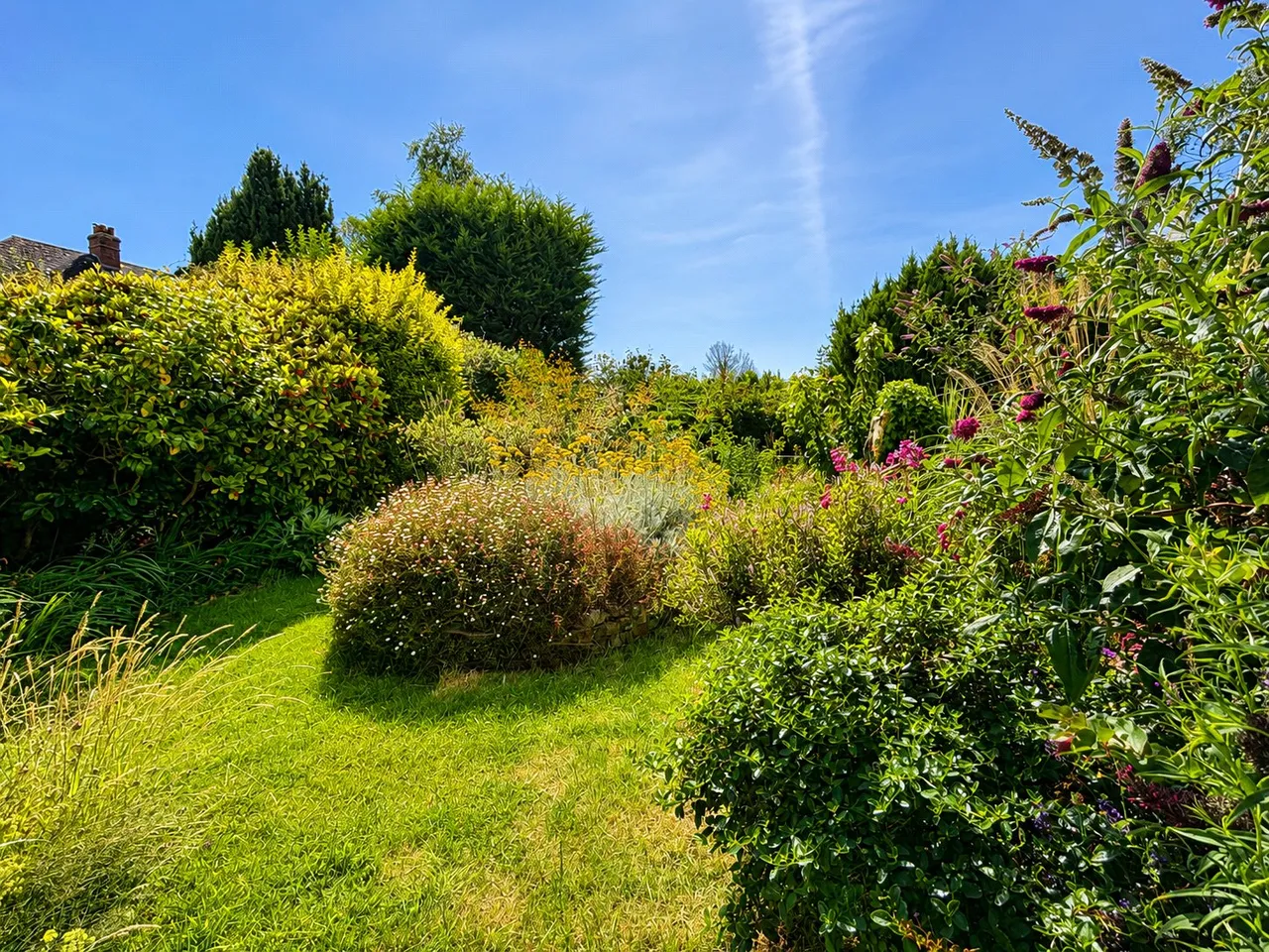 Ponsford Road, Minehead, TA24, photo 20