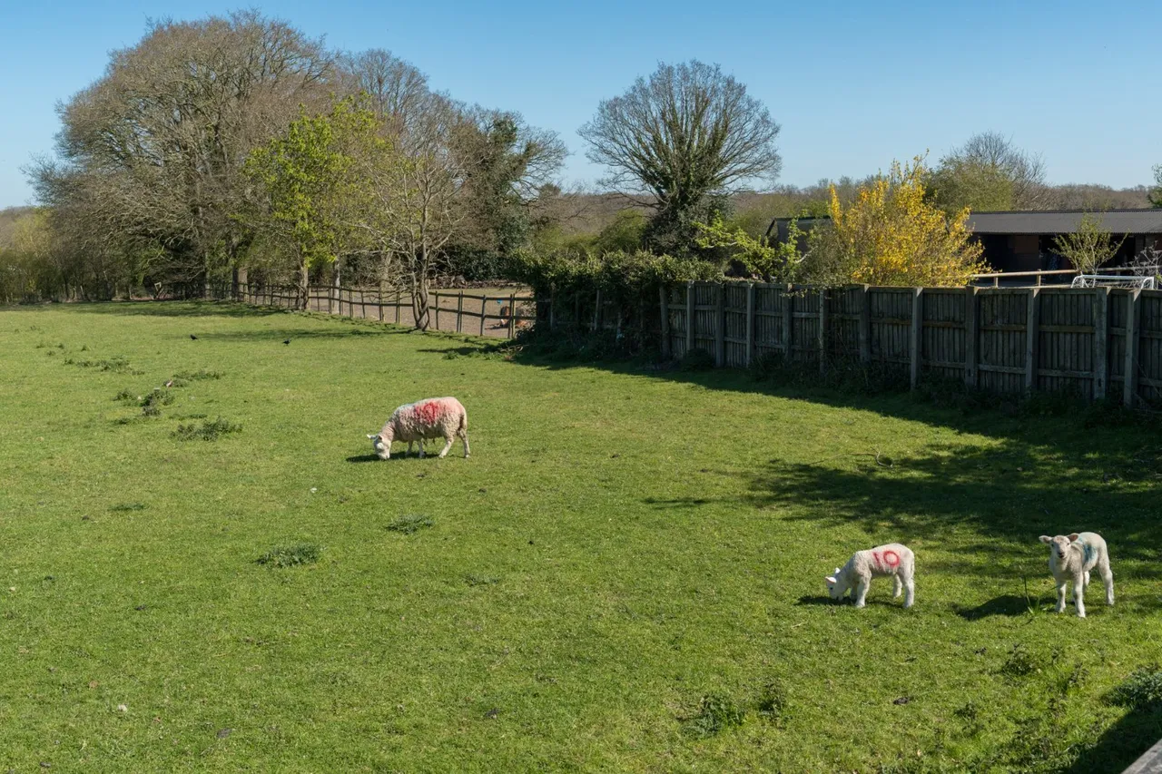 Abberton Road, Layer-De-La-Haye, CO2, photo 37