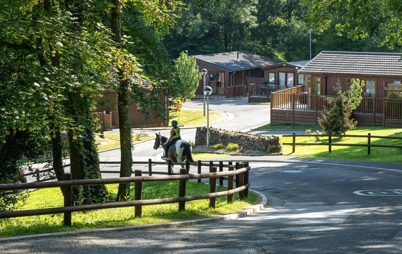 Finlake Holiday Park, Newton Abbot, TQ13, photo 20