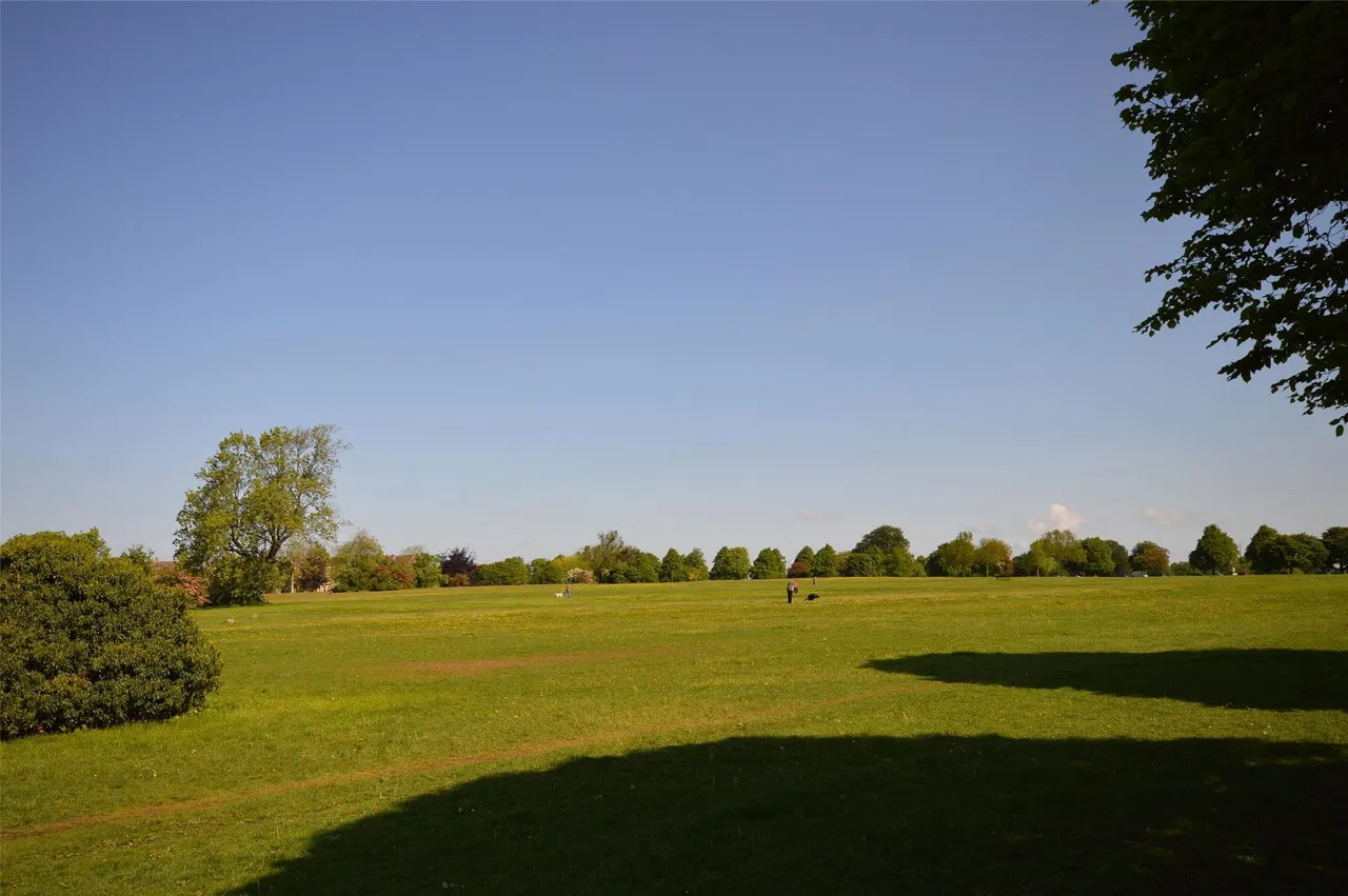 Rockleaze Avenue, Bristol, BS9 1NG, photo 8