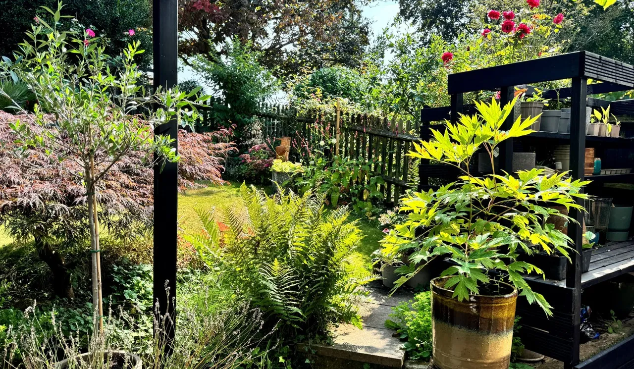 Lincoln Park, Amersham, HP7, photo 23