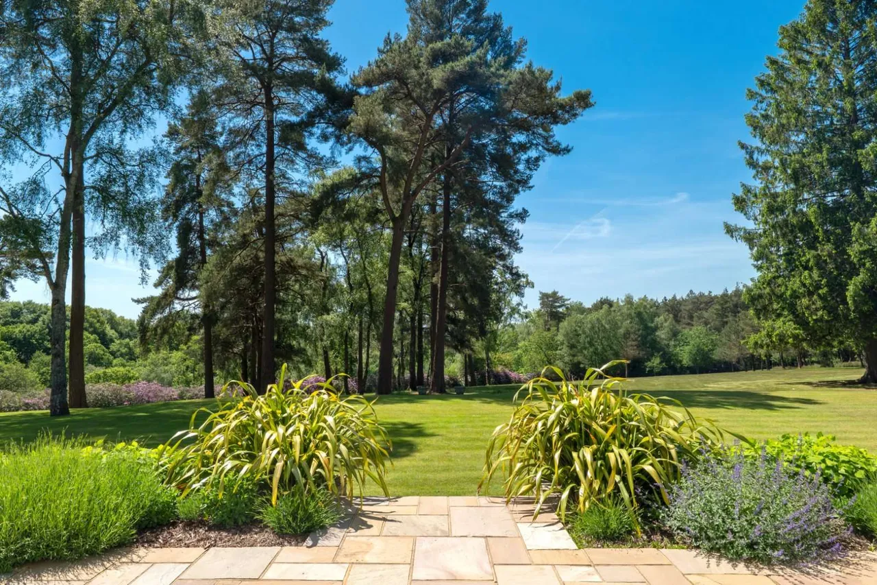 Woolmer Hill Road, Haslemere, GU27, photo 14