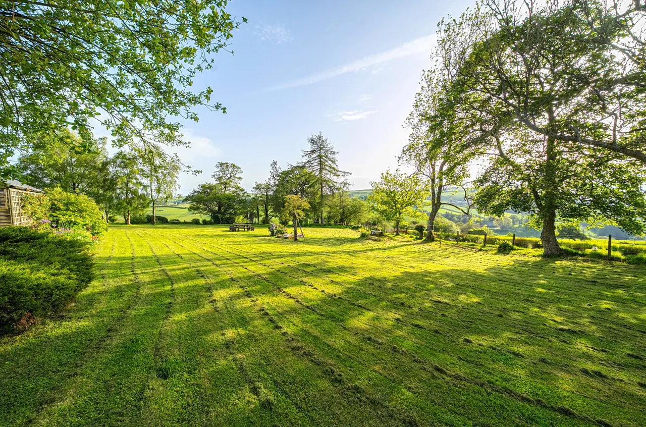 Tylwch, Llanidloes, photo 22