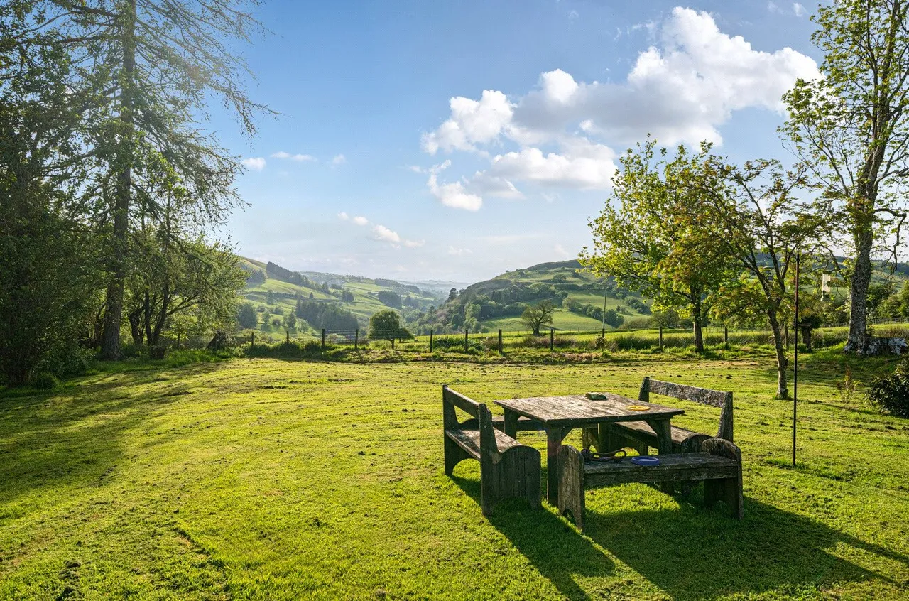 Tylwch, Llanidloes, photo 23