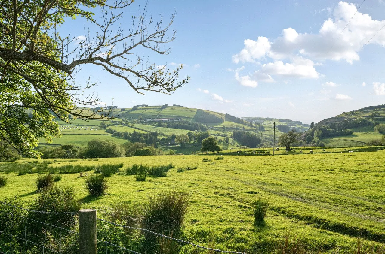 Tylwch, Llanidloes, photo 54