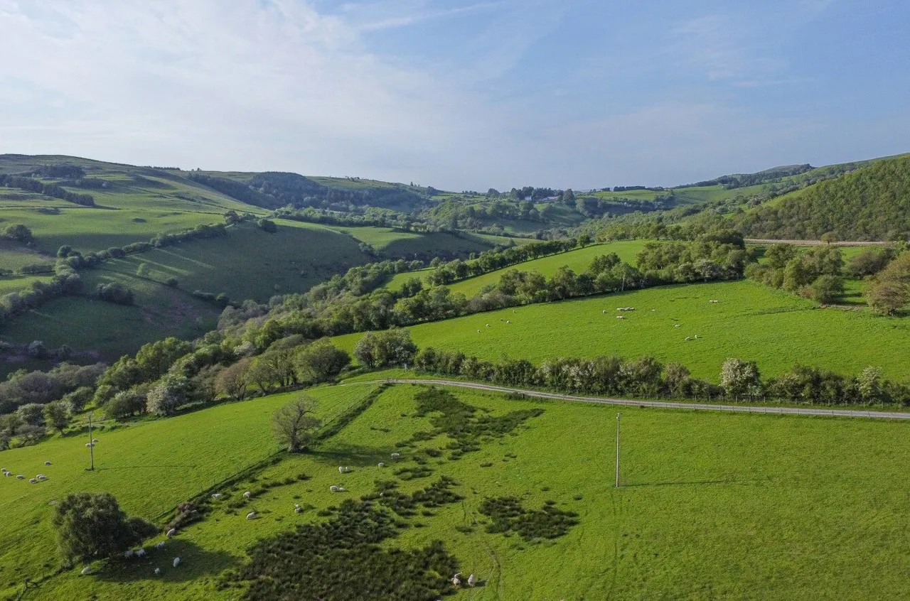 Tylwch, Llanidloes, photo 53