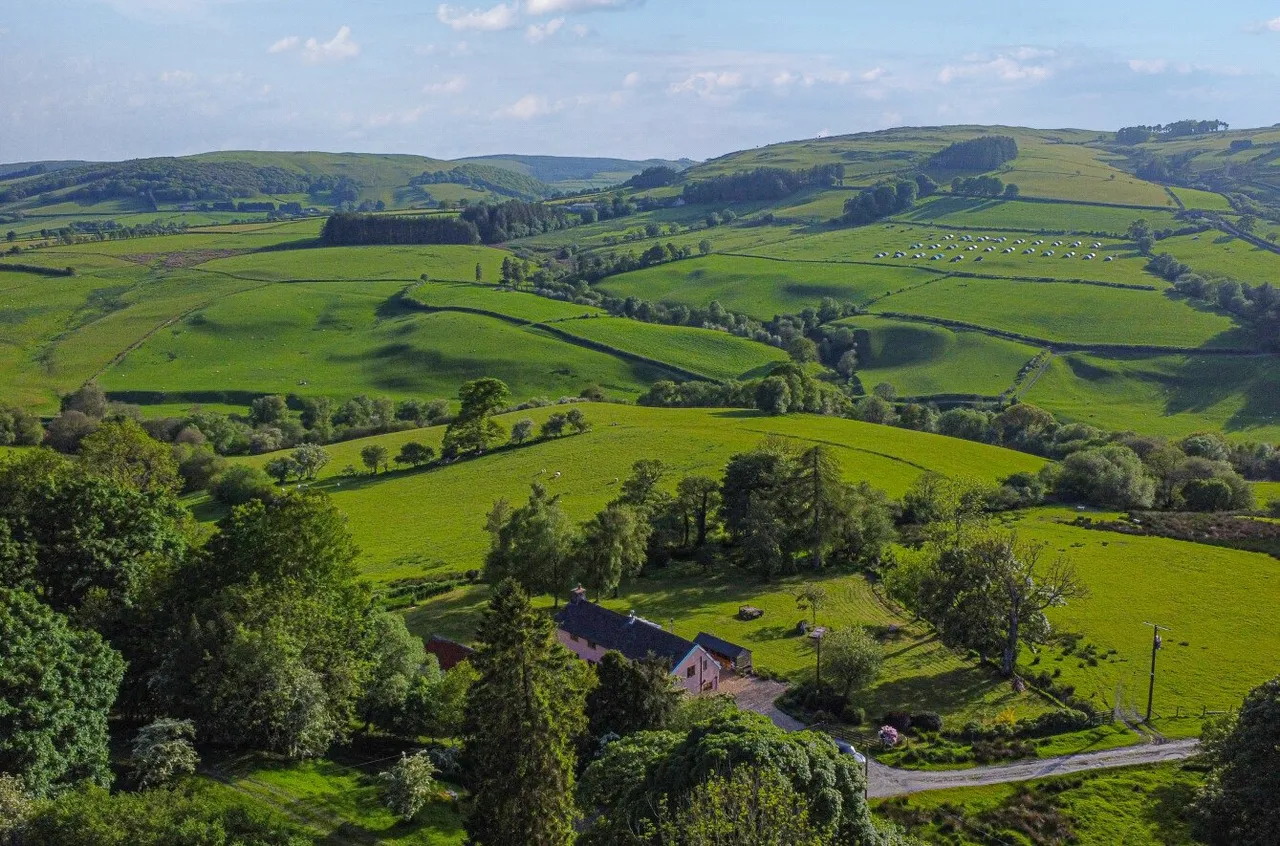 Tylwch, Llanidloes, photo 48
