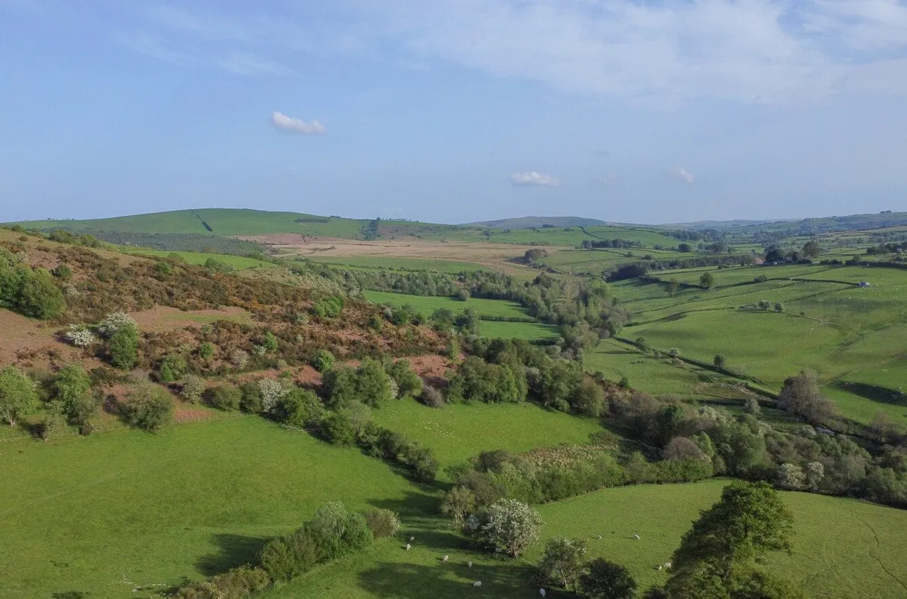 Tylwch, Llanidloes, photo 51