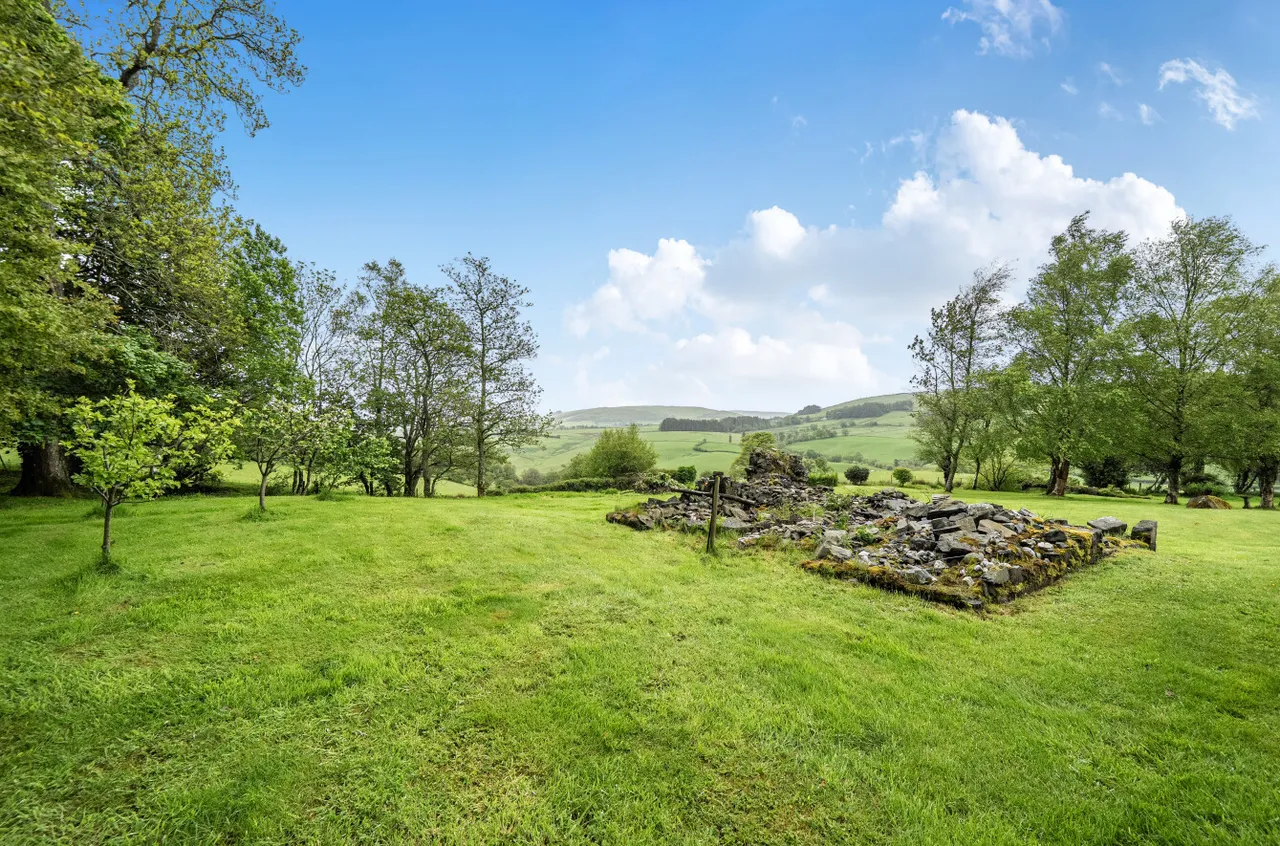 Tylwch, Llanidloes, photo 18