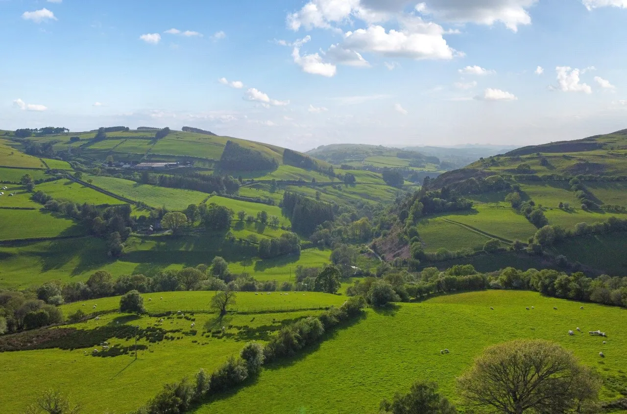 Tylwch, Llanidloes, photo 47