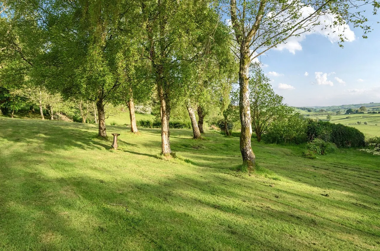 Tylwch, Llanidloes, photo 27
