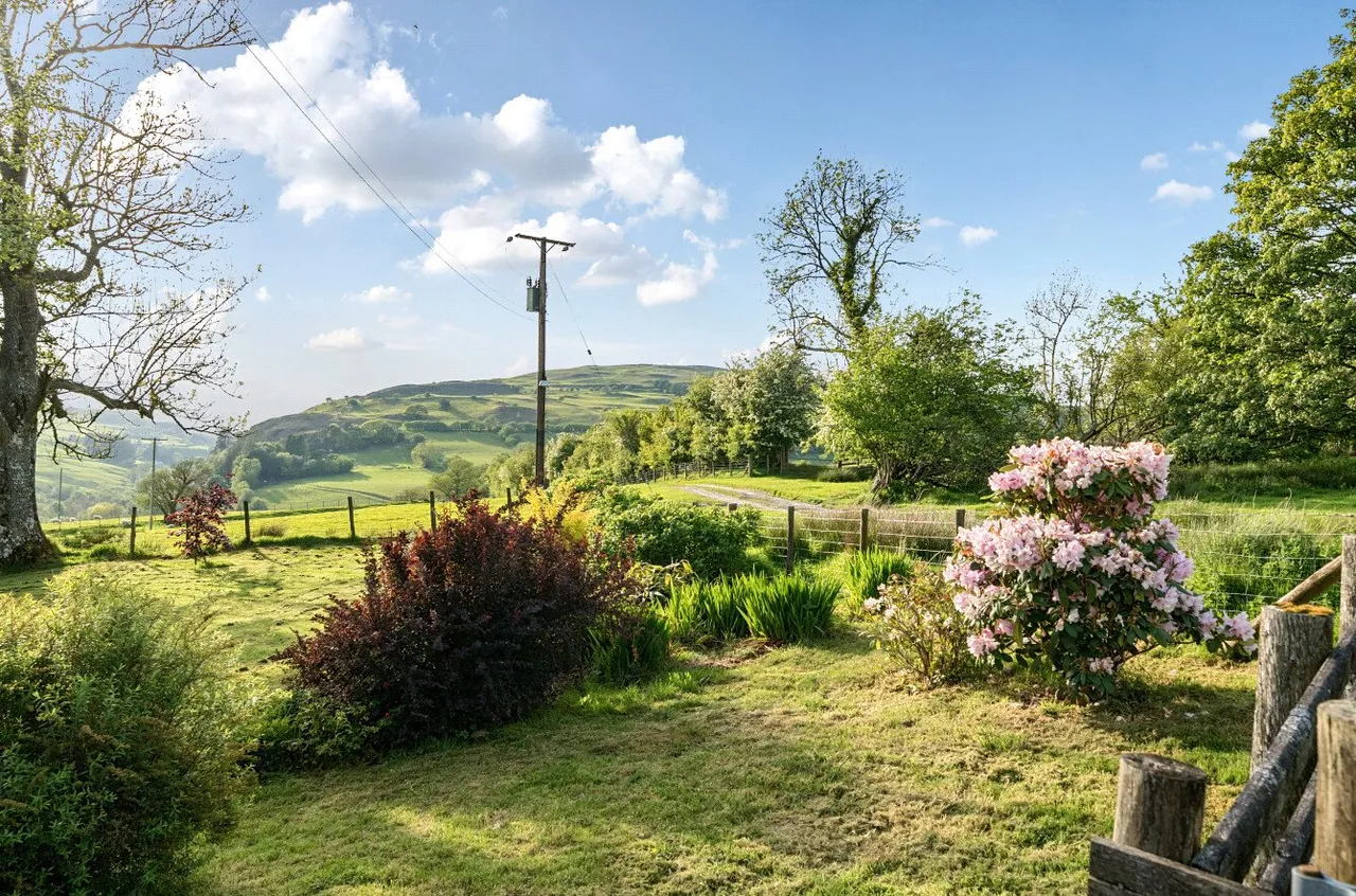 Tylwch, Llanidloes, photo 28