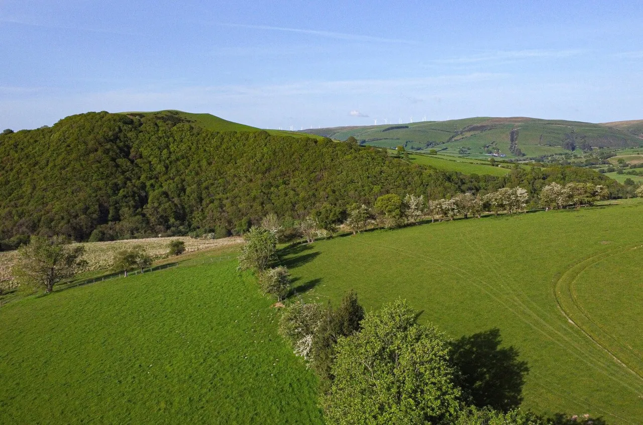 Tylwch, Llanidloes, photo 45