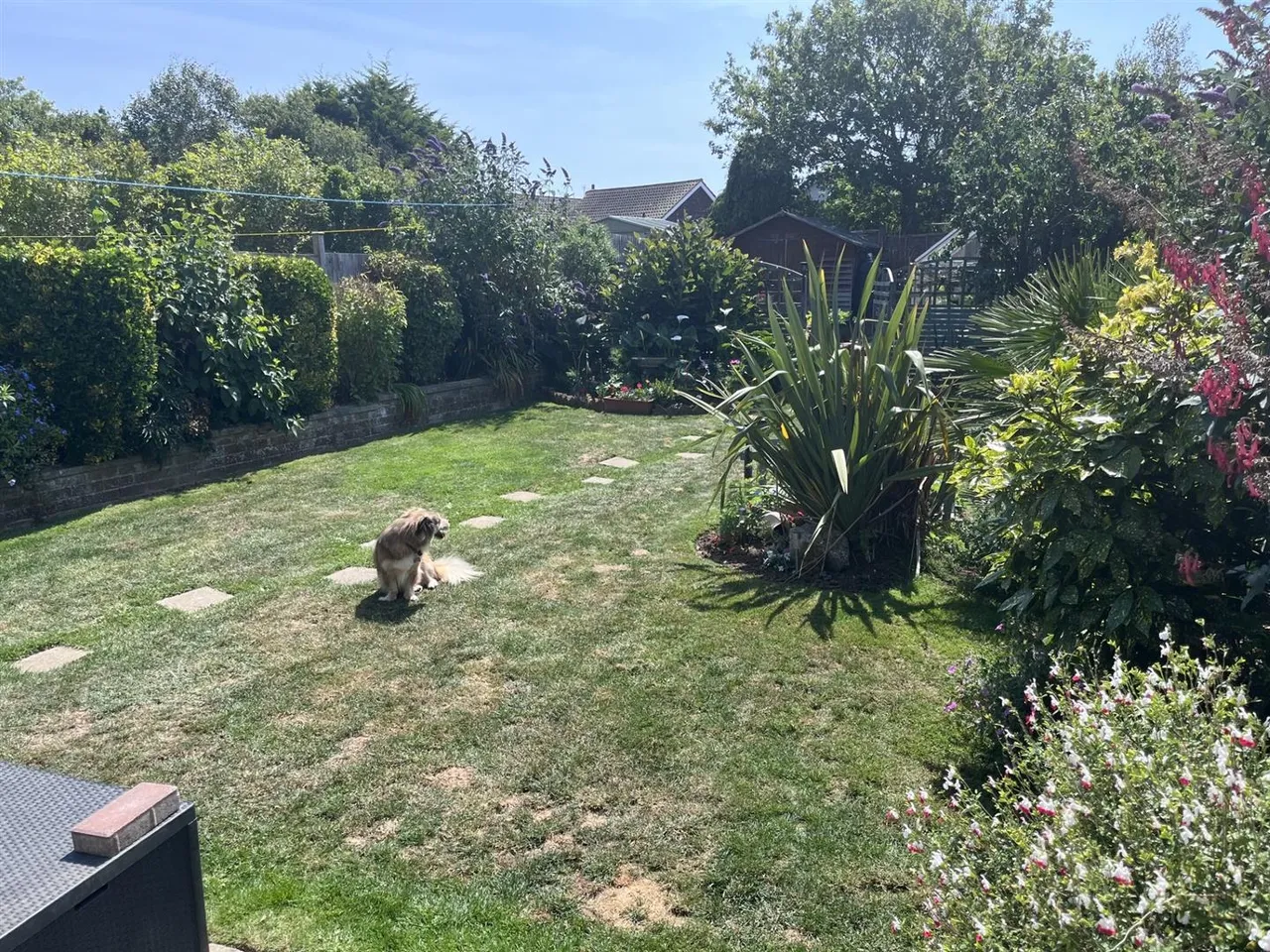 Walmer Road, Seaford, photo 6