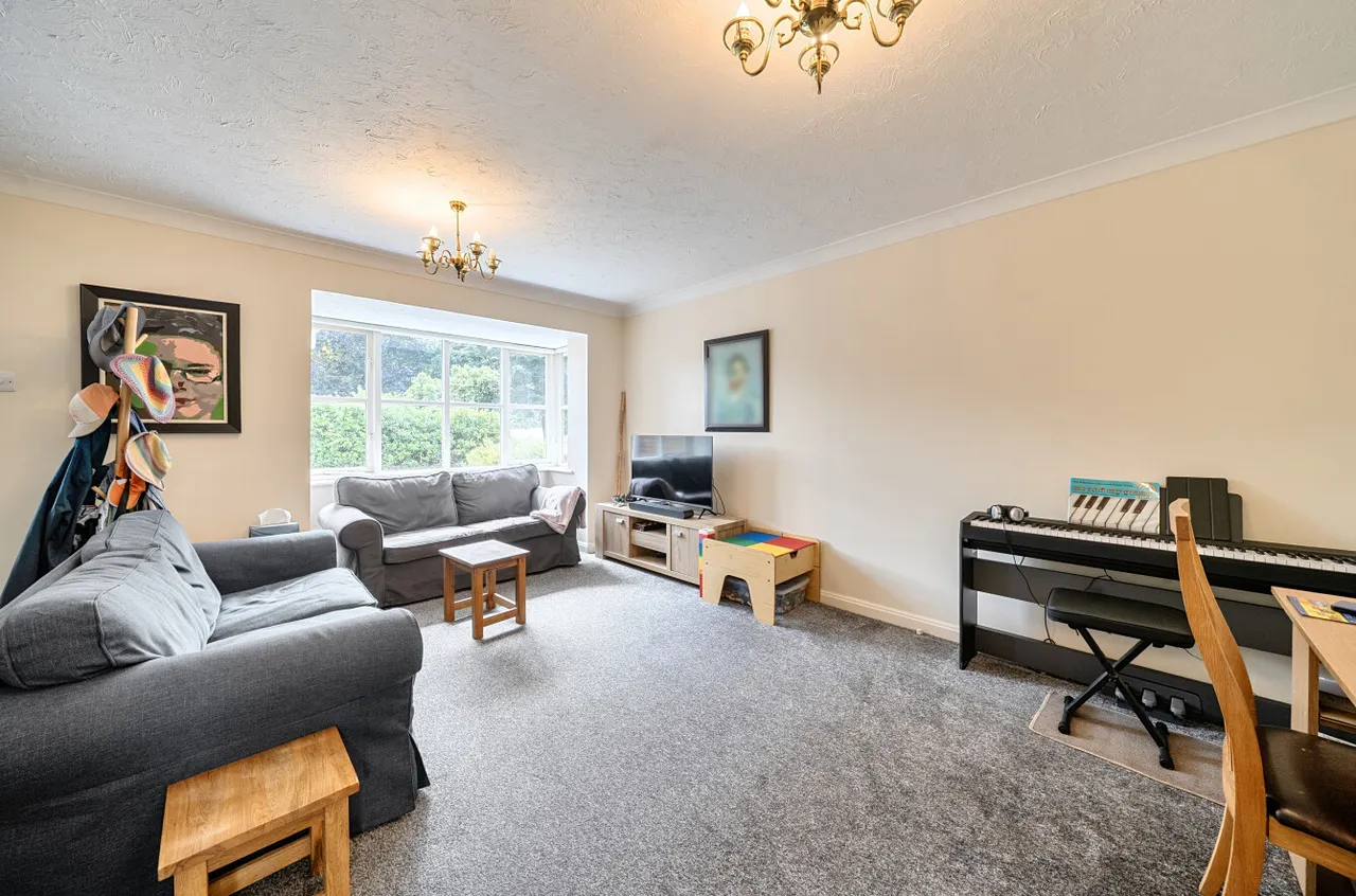 Sycamore Road, Farnborough, Hampshire, GU14 6PH, photo 15