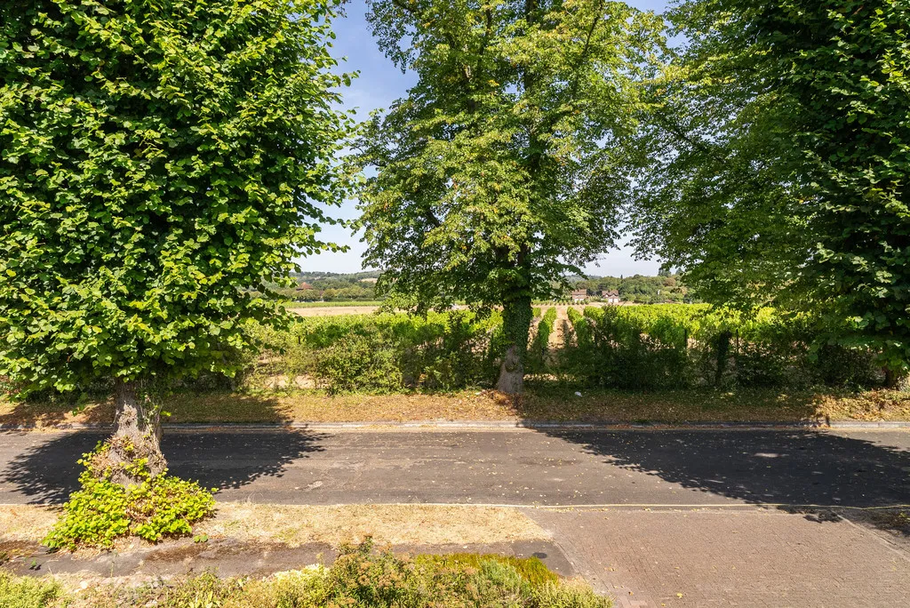 Chichester Road, Dorking, RH4, photo 19