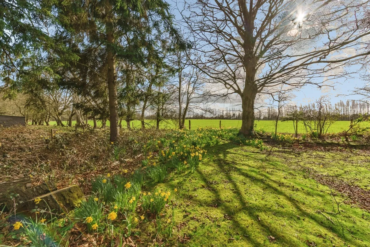 St. Piers Lane, Lingfield, RH7, photo 16