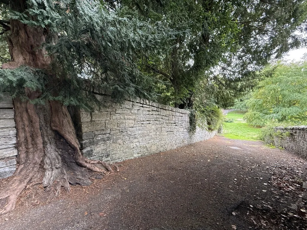 Somerton, TA11, photo 23