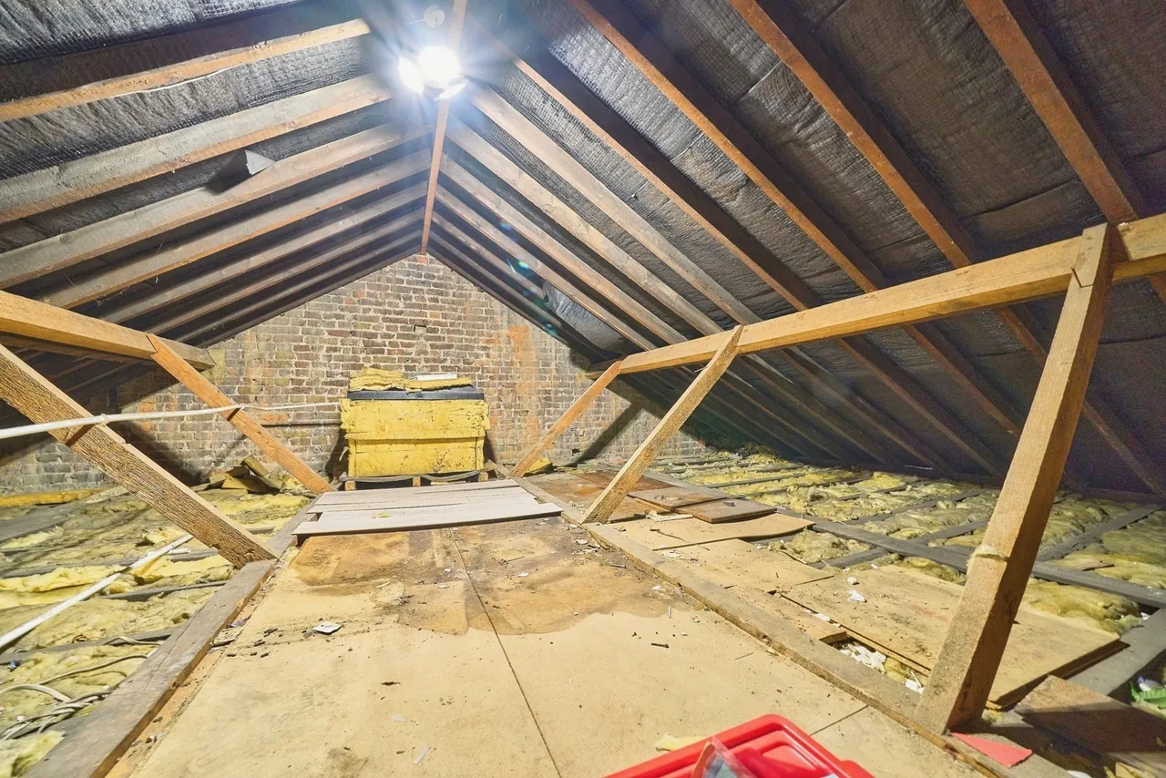 Vansittart Road, London, E7, photo 31