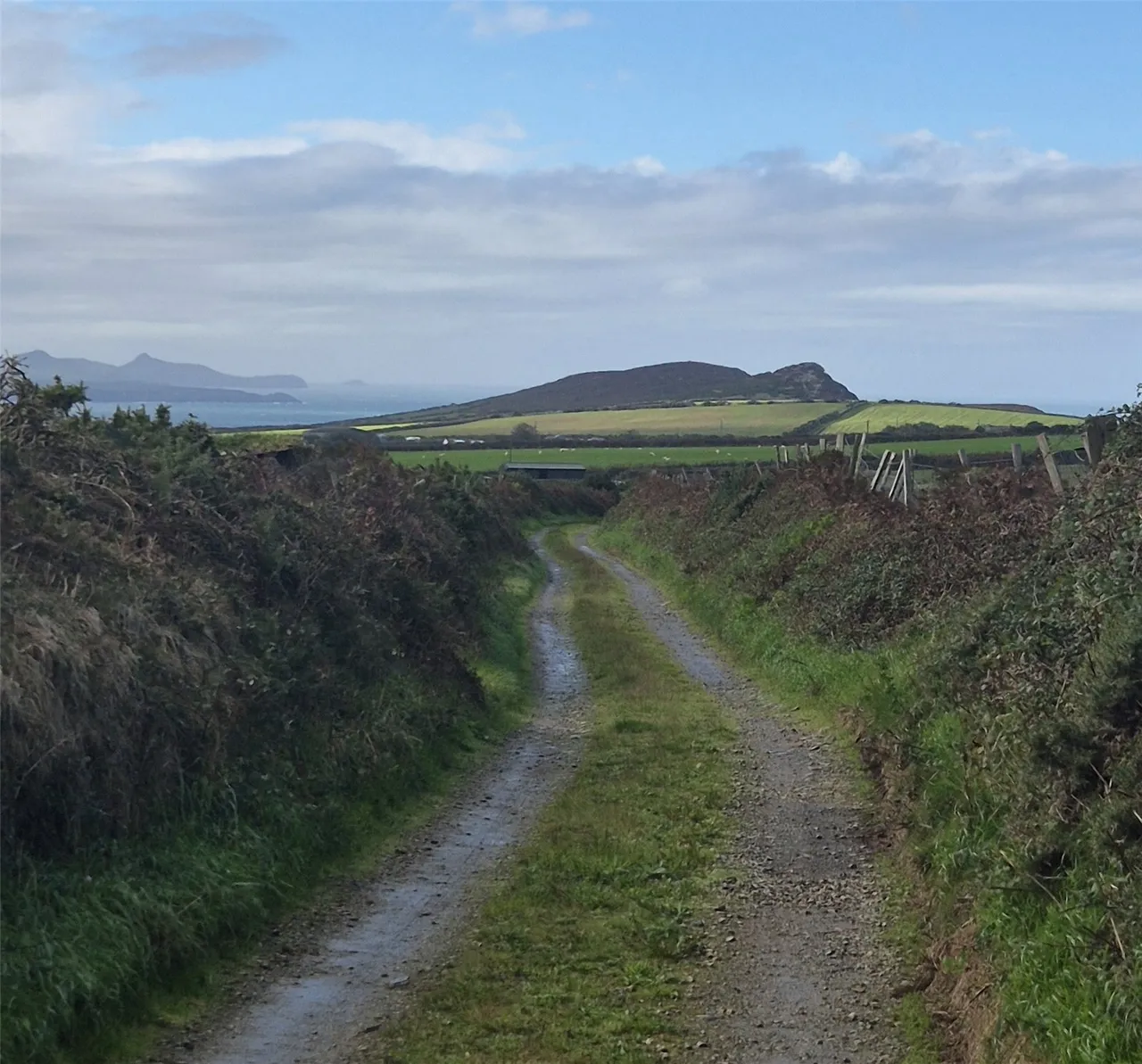 Pencaer, Goodwick, SA64, photo 35