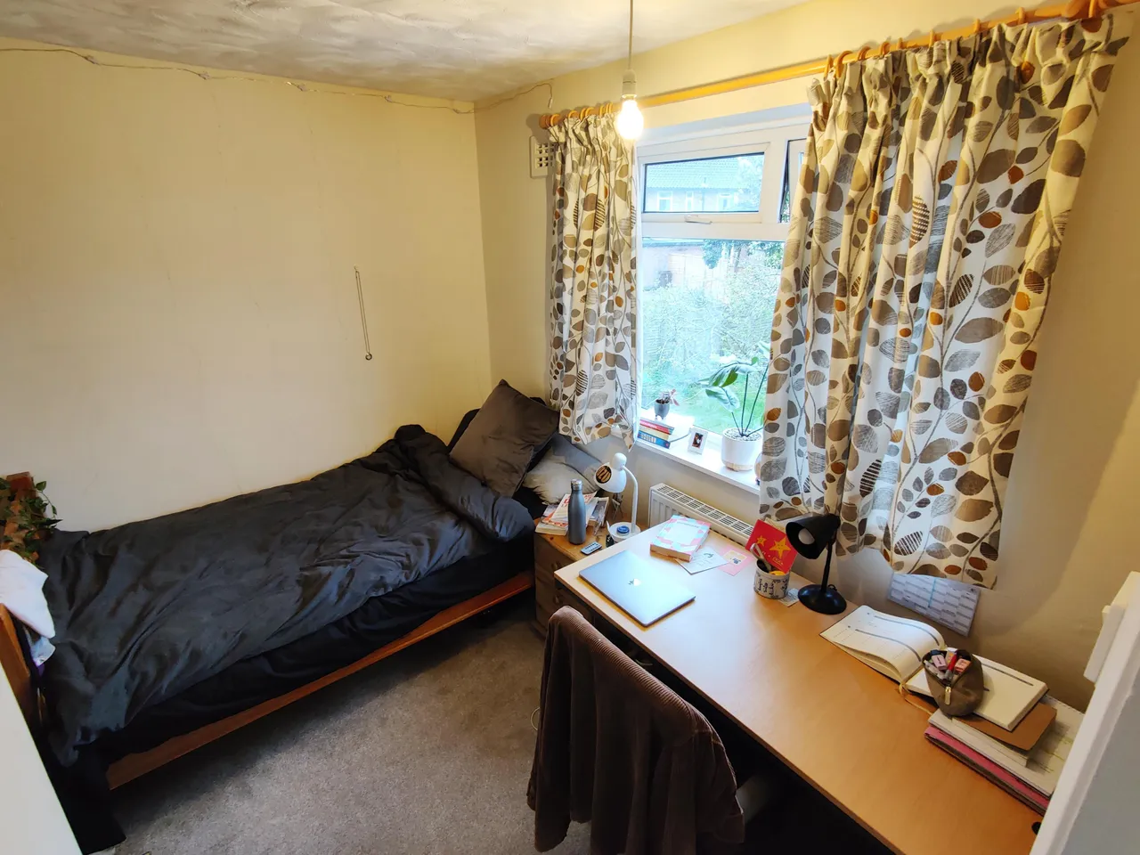 Peckover Road, NORWICH, photo 10
